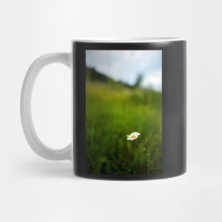 Mountain daisy flower Mug